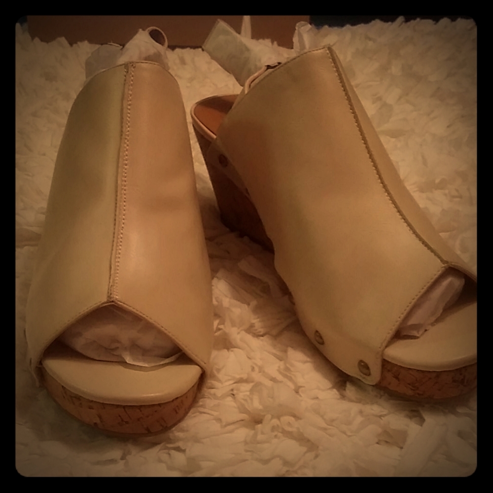 Wedge Heals